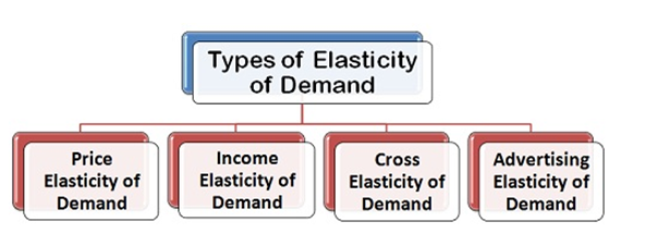 Study Notes on Economics-Chapter 2: Theory of Demand and Supply ...