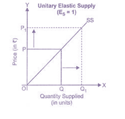 Study Notes on Economics-Chapter 2: Theory of Demand and Supply ...